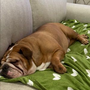 Meet your Posher, Sandy